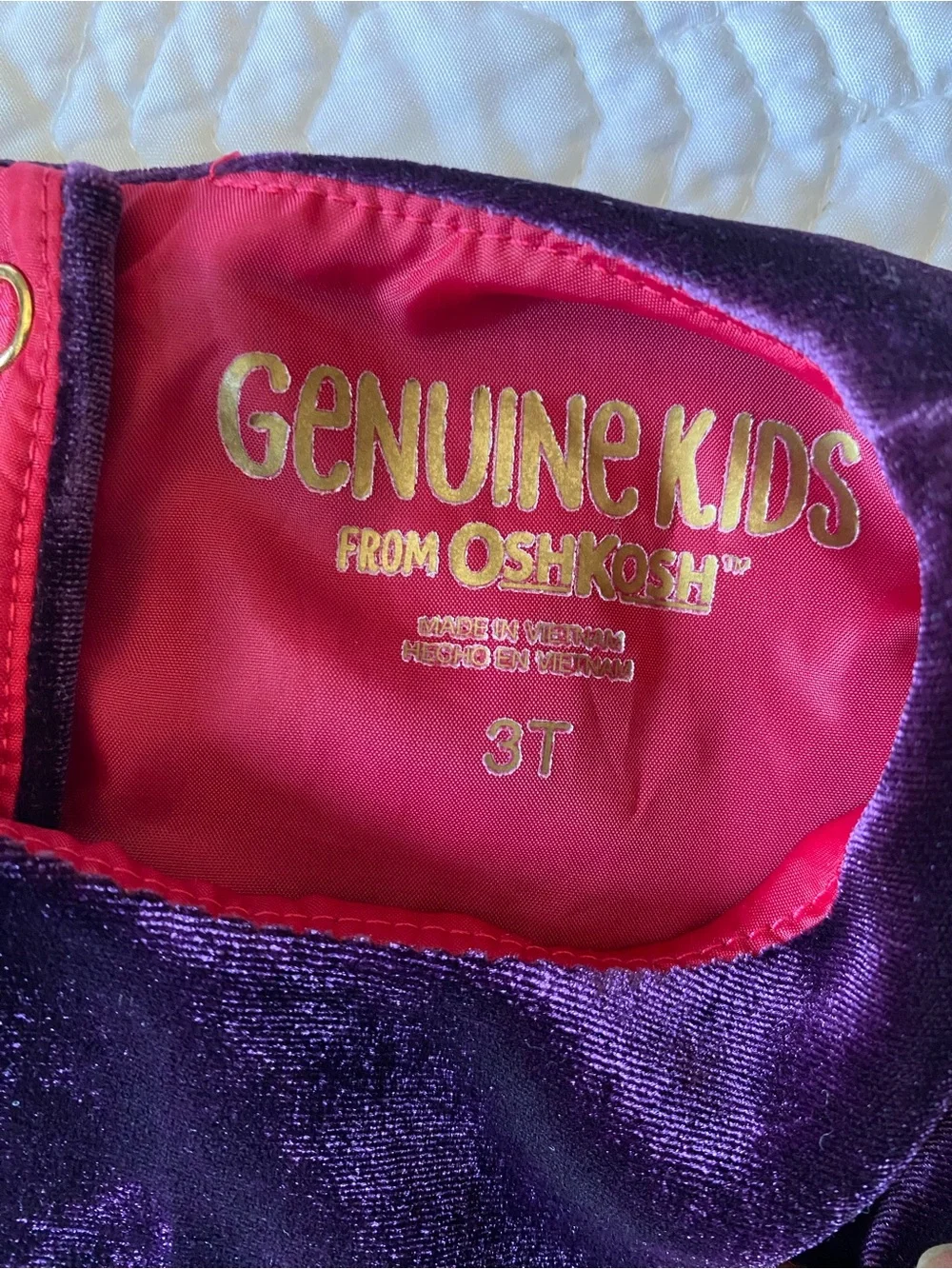 OshKosh B'gosh Genuine Kids Purple Velvet Fit And Flare Dress 3T Vintage Holiday